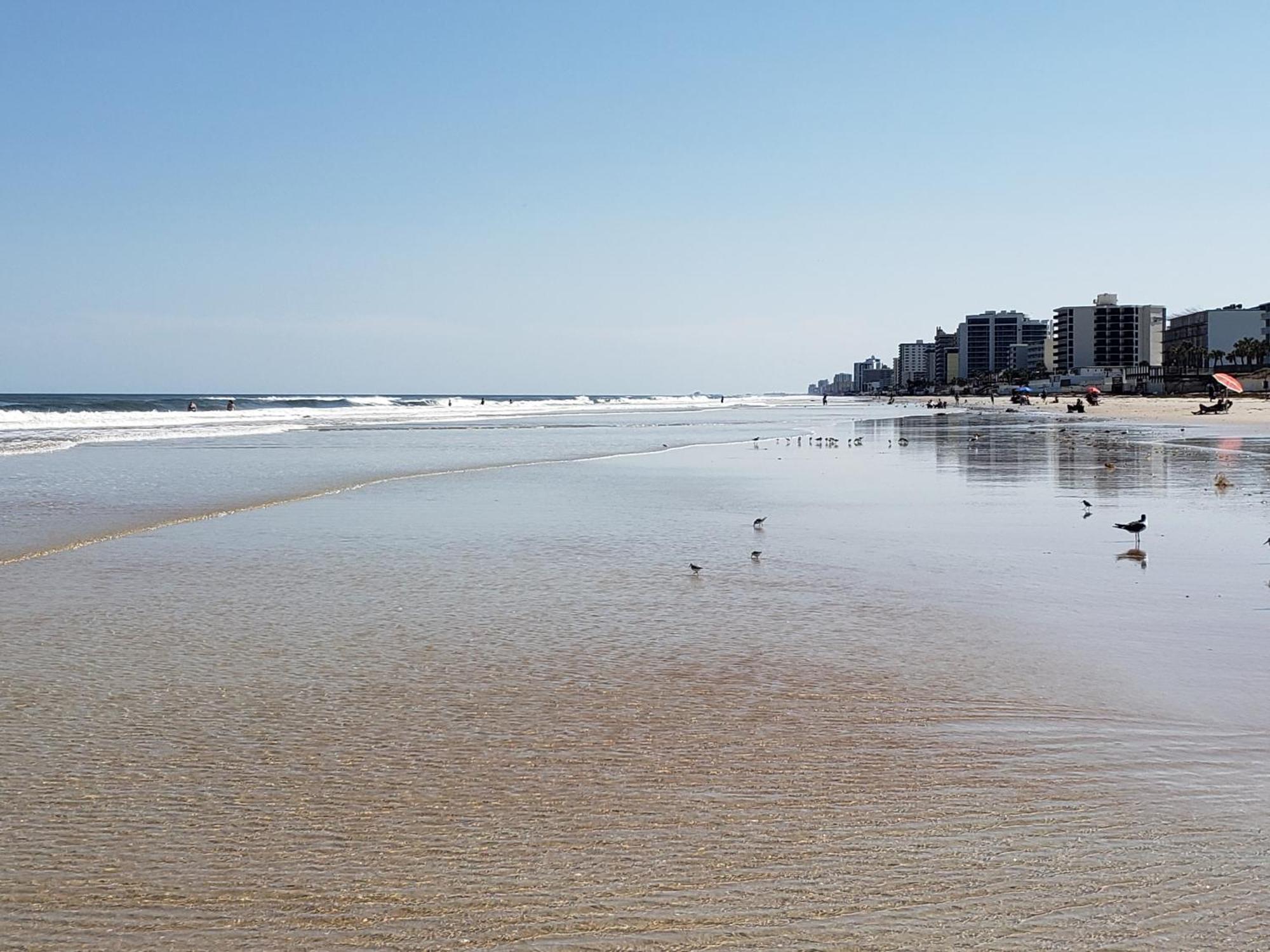 Beachside Bliss Ocean Views & Endless Fun Daytona Beach! Bagian luar foto