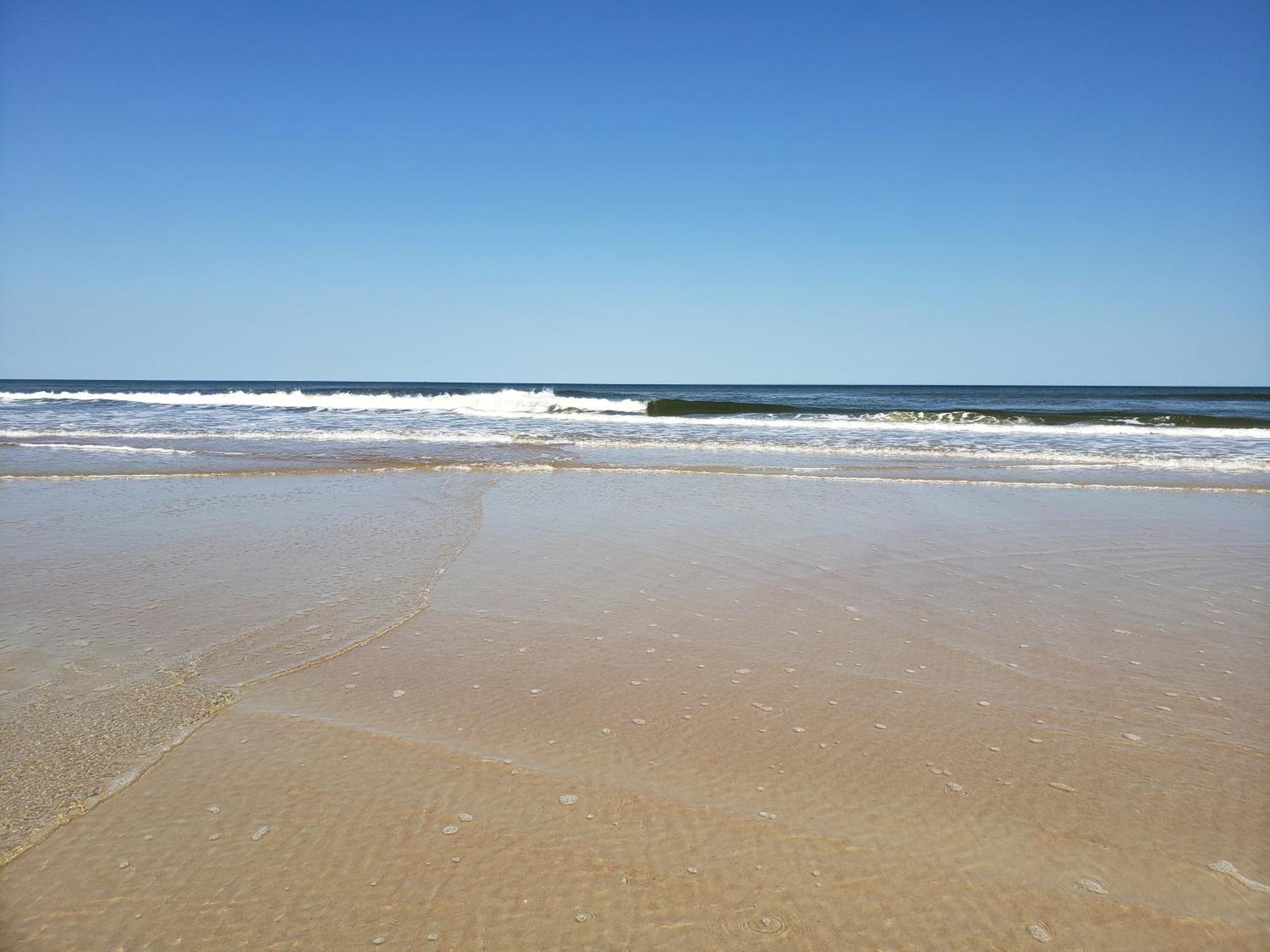 Beachside Bliss Ocean Views & Endless Fun Daytona Beach! Bagian luar foto